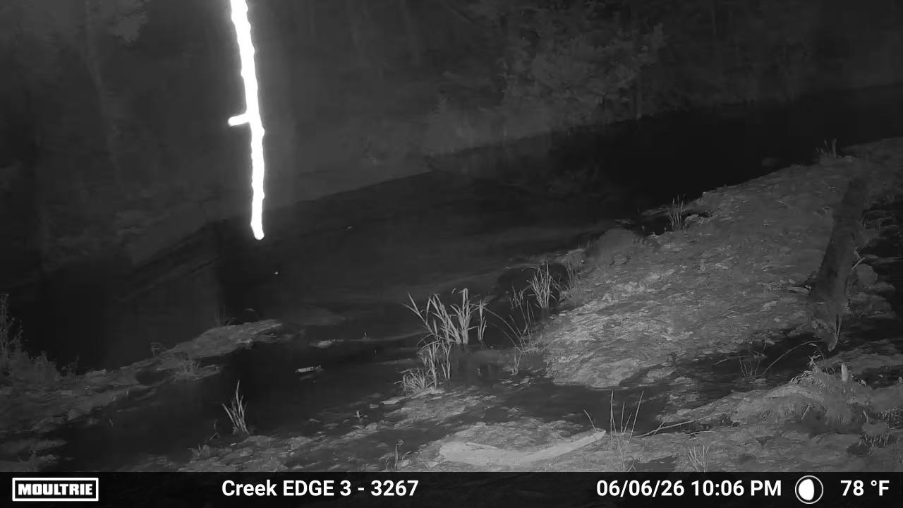 Creek Camera