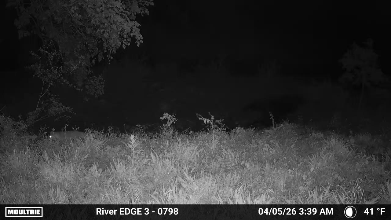 River Camera