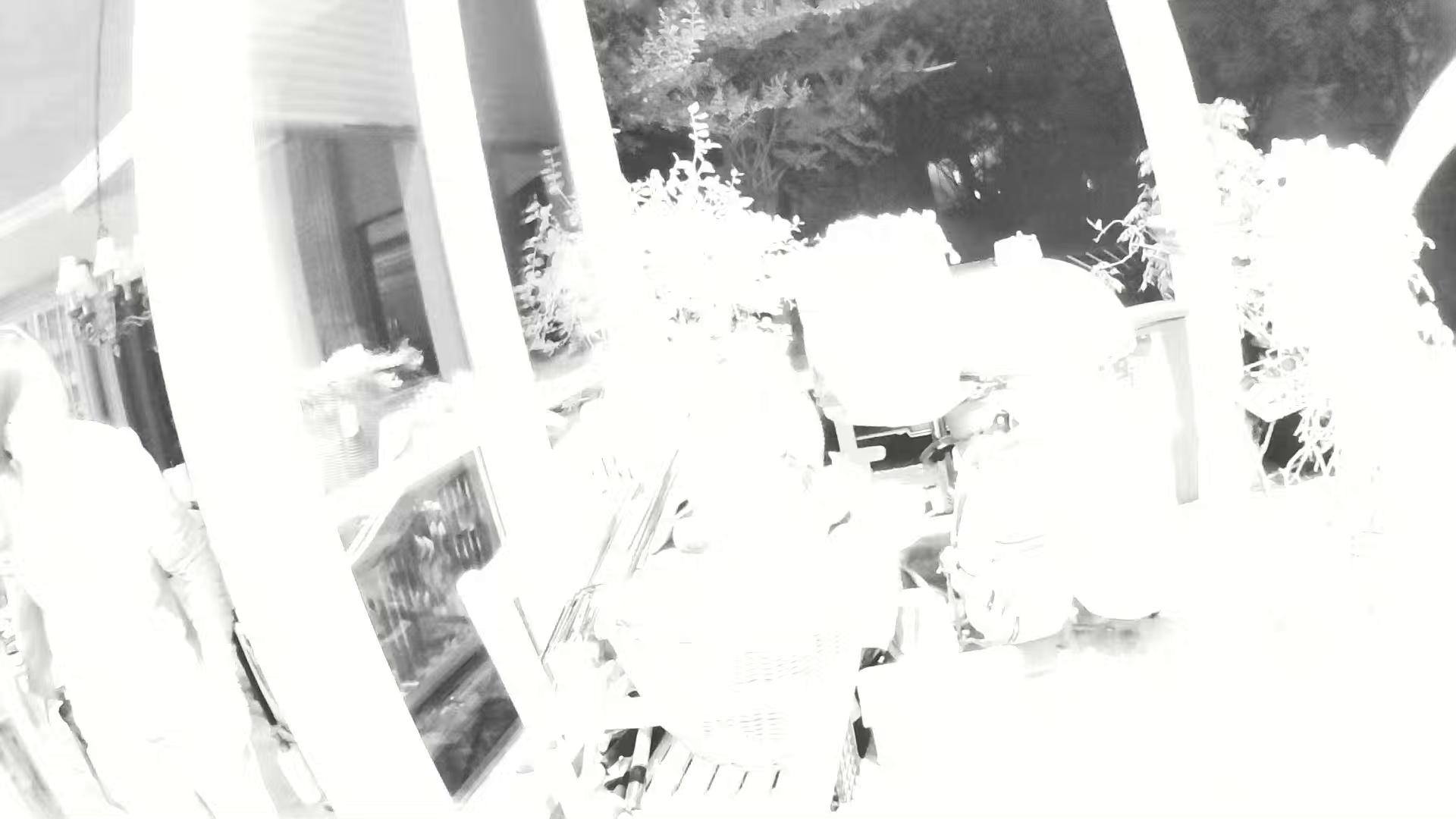 Ring Camera