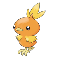 Torchic's Pad